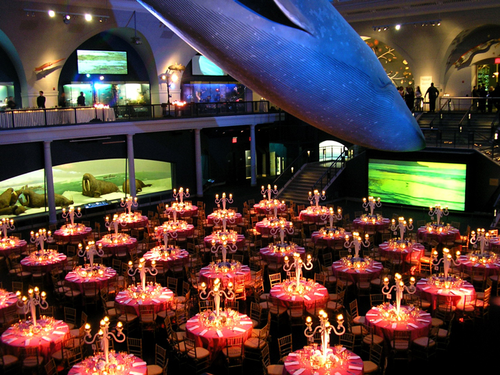 Avon Foundation Gala at the Natural History Museum of New York 